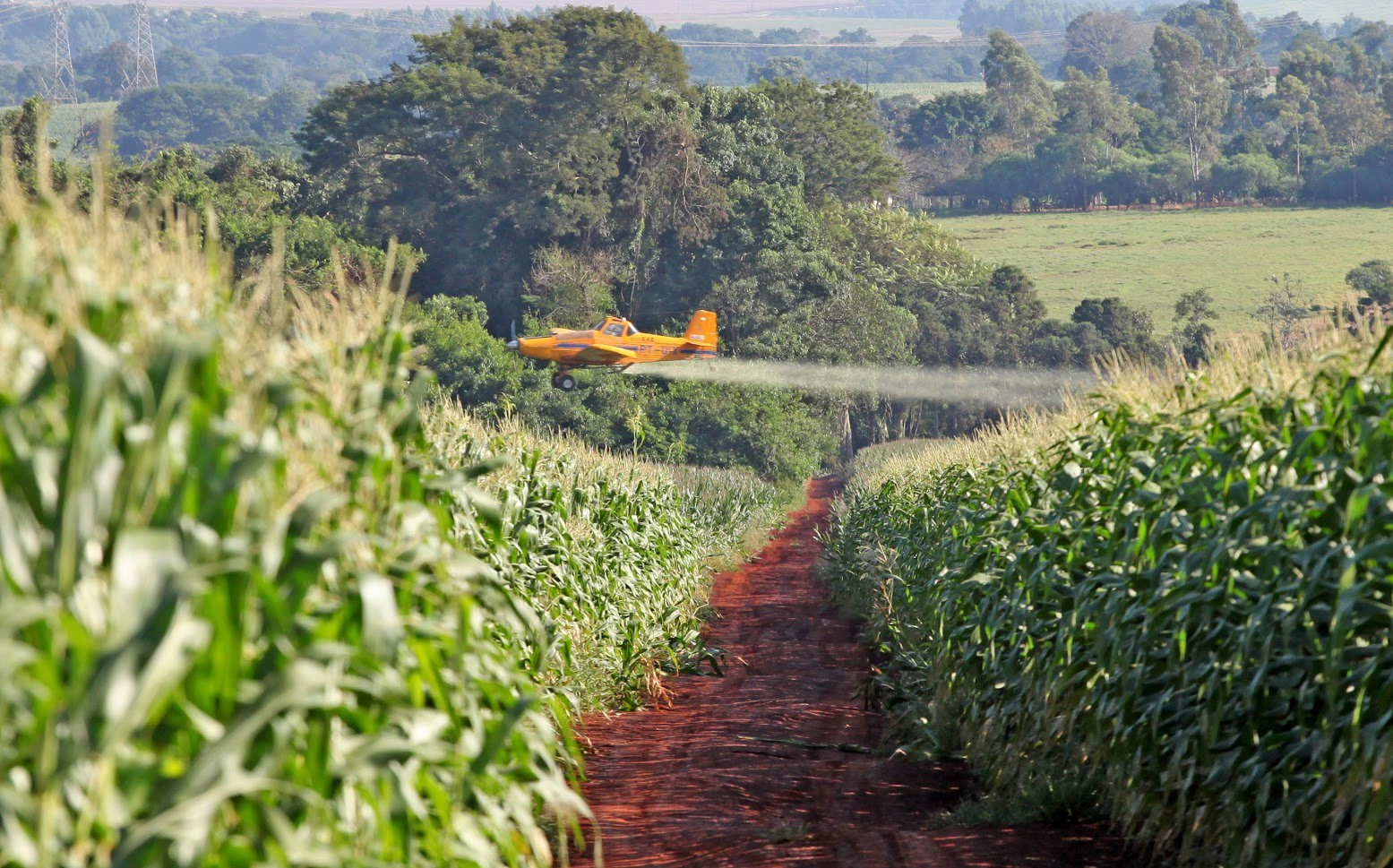 CAMPO MOURÃO, PR. 02.04.2016: Pulverização aérea de plantação de milho em Campo Mourão, região Centro-Oeste do Paraná. (foto: Dirceu Portugal/Folhapress)