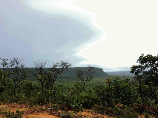 Solo-avermelhado-galhos-retorcidos-e-chapadas-compoem-paisagem-singular-do-Cerrado-em-Formosa-do-Rio-Preto-na-Bahia.-Flavia-Milhorance-copy-1521132468